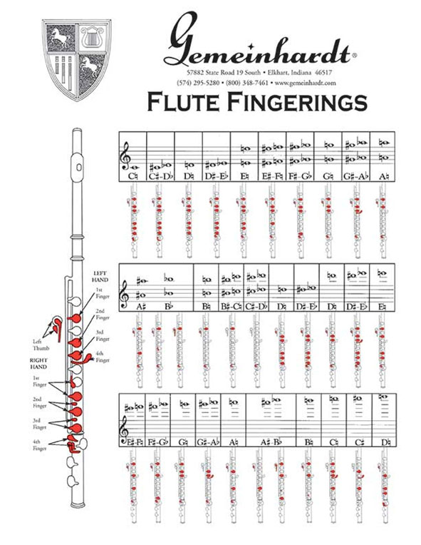 Flute Fingering Chart Band Director Media Group