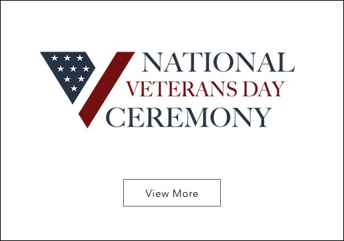 Historic National Veterans day parades col 1