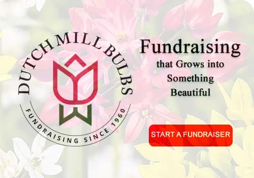 Dutchmill Bulbs &ndash; Fundraising After Slide Ad