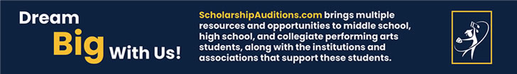 scholarship auditions – teaching technology – top leader