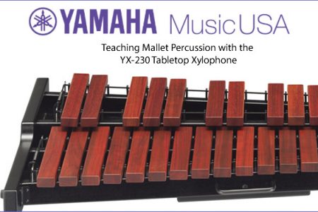 Tabletop xylophone deals